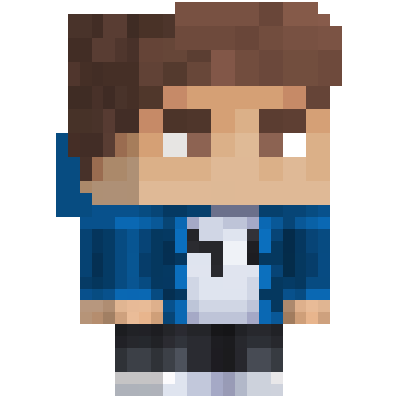 Vichy minecraft character